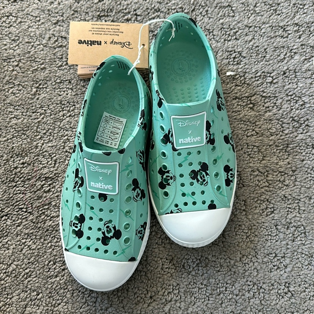 Mickey Mouse Natives